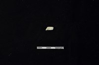 陶環藏品圖，第2張